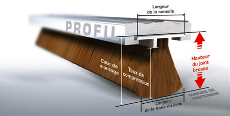 schema
